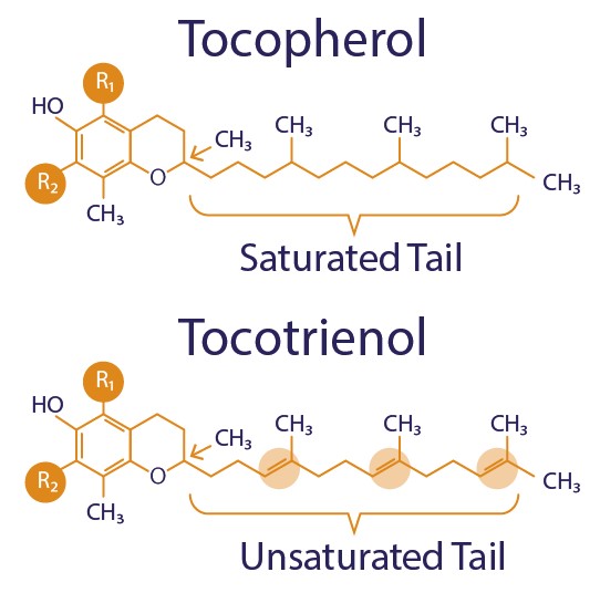 vitamine E,Tocotrienol,tocoferol